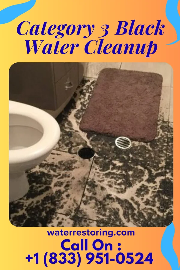 Category 3 Black Water Cleanup in Beaver, UT