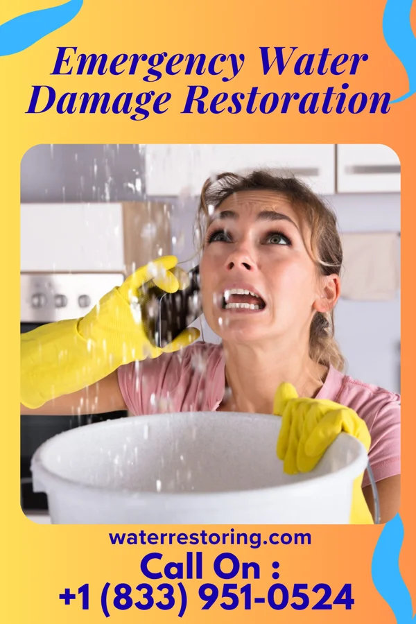 Emergency Water Damage Restoration in Beaver, UT